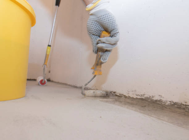 Best Termite Inspection and Treatment  in Santa Barbara, CA